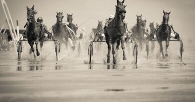 Harnessing the Power of Teamwork
